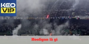 hooligan là gì