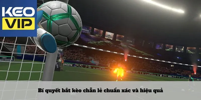 Bí quyết bắt kèo chẵn lẻ chuẩn xác và hiệu quả