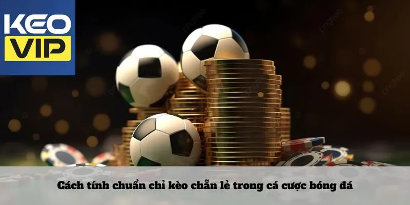 Cách tính chuẩn chỉ kèo chẵn lẻ trong cá cược bóng đá