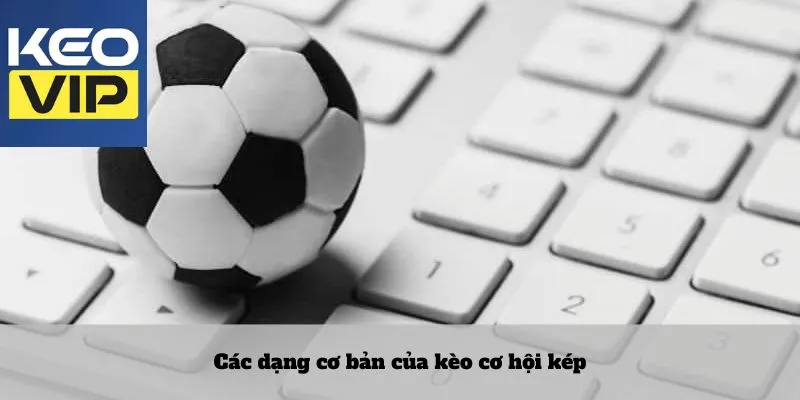 Các dạng cơ bản của kèo cơ hội kép