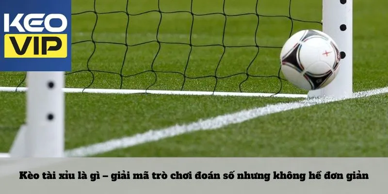 Kèo tài xỉu là gì – giải mã trò chơi đoán số nhưng không hề đơn giản