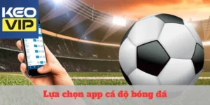 lựa chọn app cá độ bóng đá