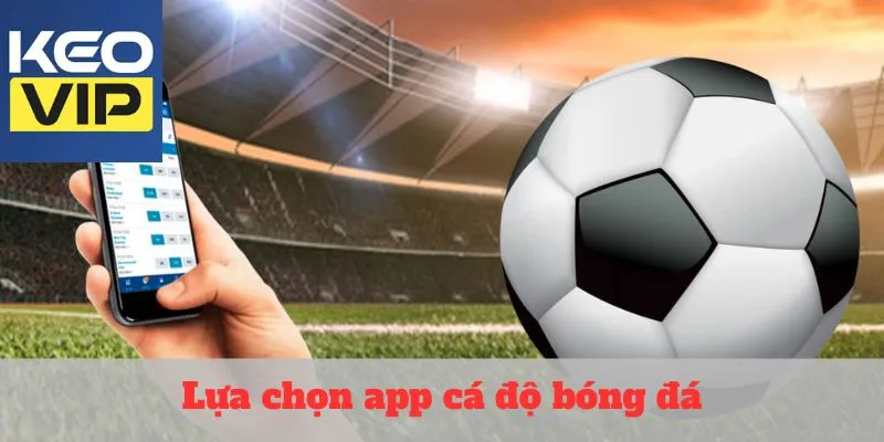 lựa chọn app cá độ bóng đá