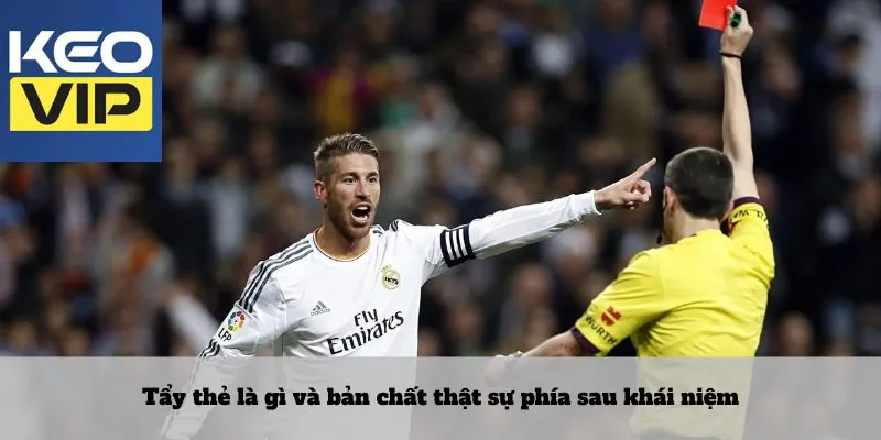 Tẩy thẻ là gì – Khái niệm bị điều khiển bởi chiến thuật ngầm 2 Tẩy thẻ là gì và bản chất thật sự phía sau khái niệm