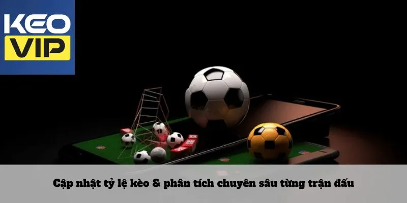 Cập nhật tỷ lệ kèo & phân tích chuyên sâu từng trận đấu