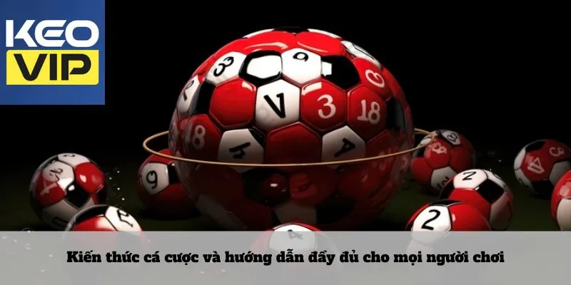Kiến thức cá cược và hướng dẫn đầy đủ cho mọi người chơi
