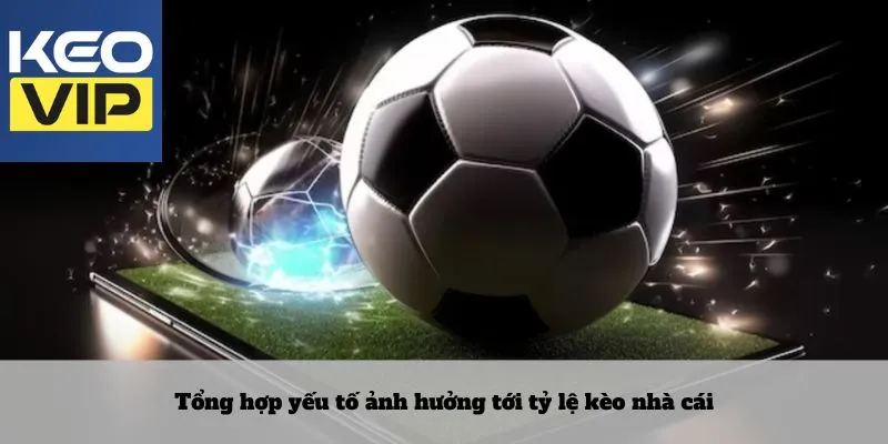 Tổng hợp yếu tố ảnh hưởng tới tỷ lệ kèo nhà cái